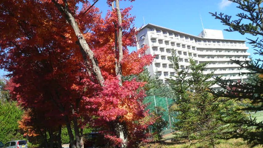 レジーナ敷地内の紅葉_b0123736_11354033.jpg