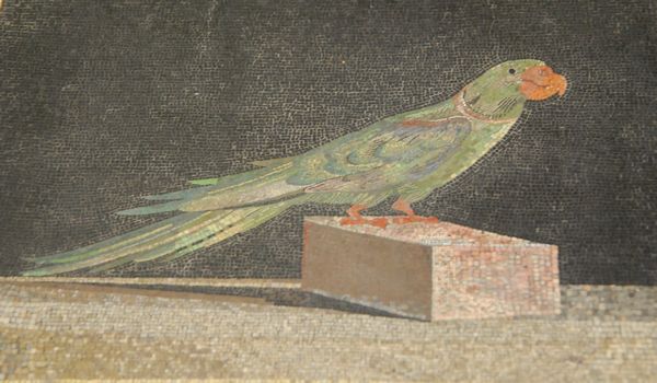 e0098241_954999.jpg