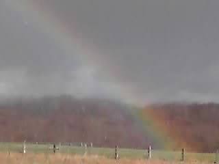 今日も虹が綺麗でした_e0145441_19552750.jpg
