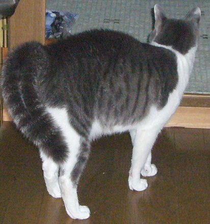腰痛_f0002743_14302870.jpg