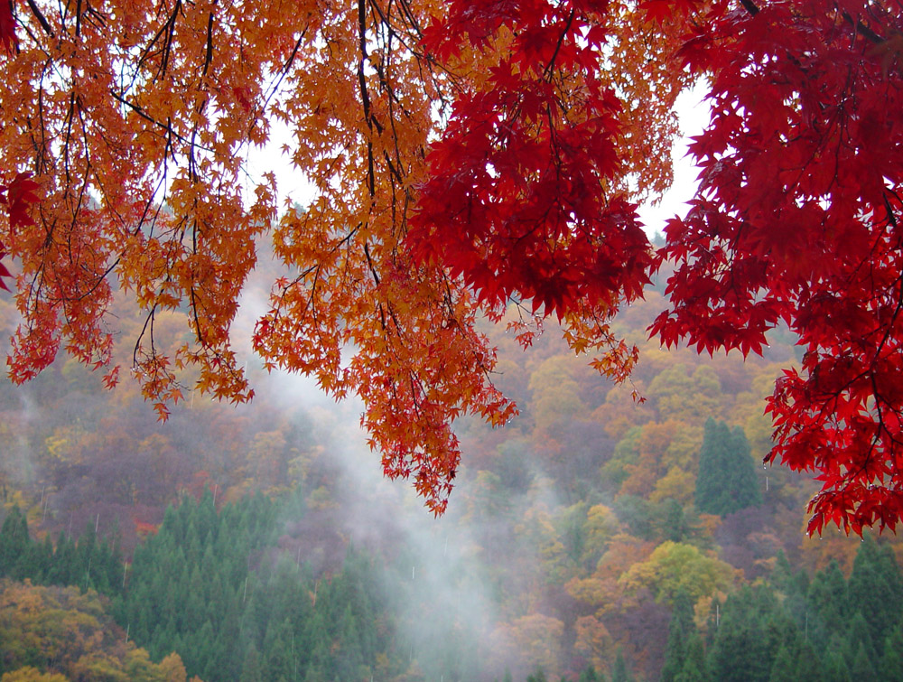 白川郷　紅葉　_c0108146_2241257.jpg