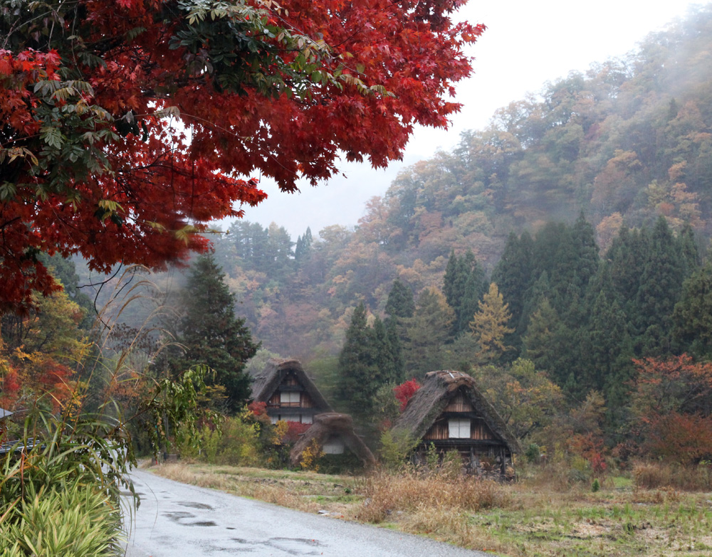 白川郷　紅葉　_c0108146_22414155.jpg