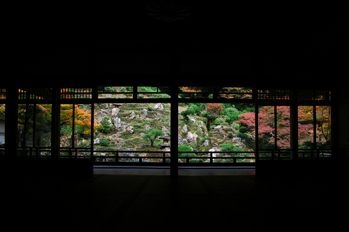 Opening！京都の紅葉（常照皇寺・お庭編）_f0155048_23113292.jpg