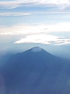 c0171349_1431942.jpg