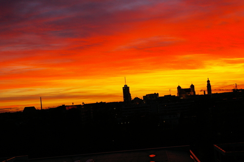 b0175255_79526.jpg