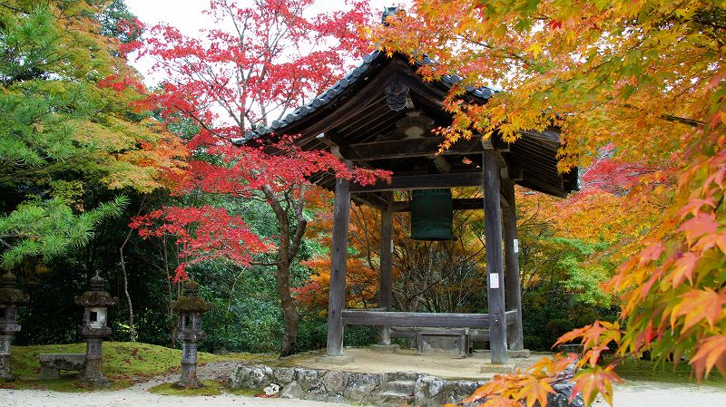 錦秋の都路２０１０ （槙尾  真言宗大覚寺派 槙尾山西明寺の紅葉 ） (2010年11月11日)_c0119555_21502591.jpg