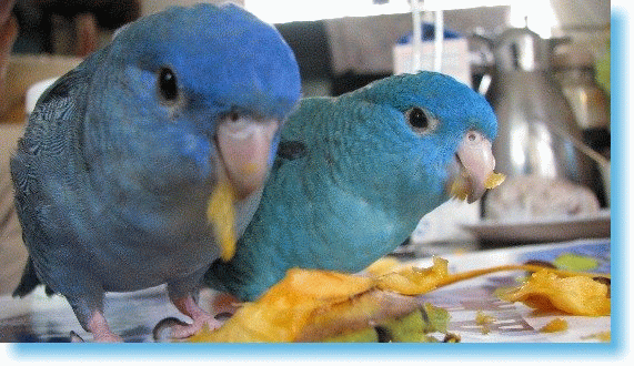 e0173755_20201159.gif