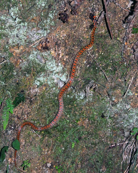 e0035757_121983.jpg