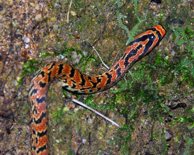 e0035757_12263.jpg