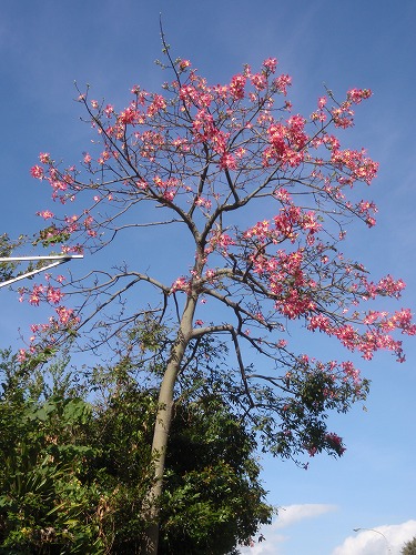 c0180460_153440.jpg