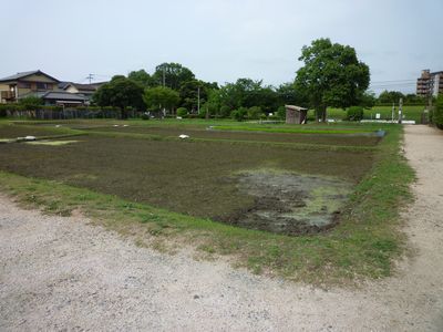 c0222861_13462410.jpg