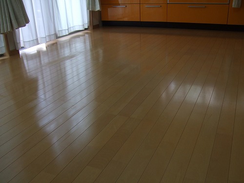 d0133561_1732402.jpg