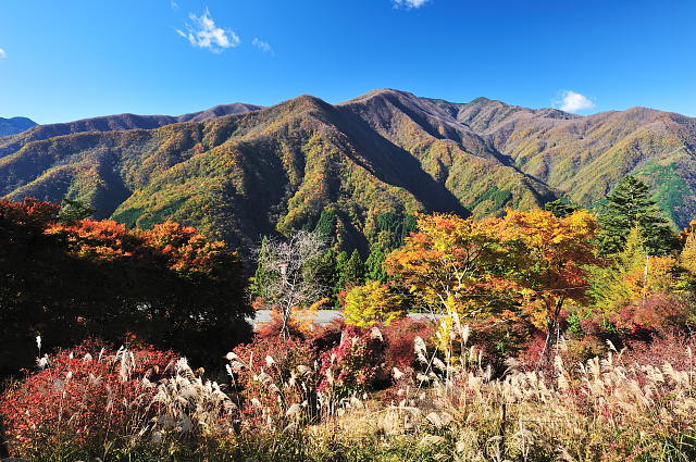 三峰神社 3 ~紅葉~_f0222161_929218.jpg