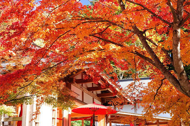 三峰神社 3 ~紅葉~_f0222161_9361811.jpg