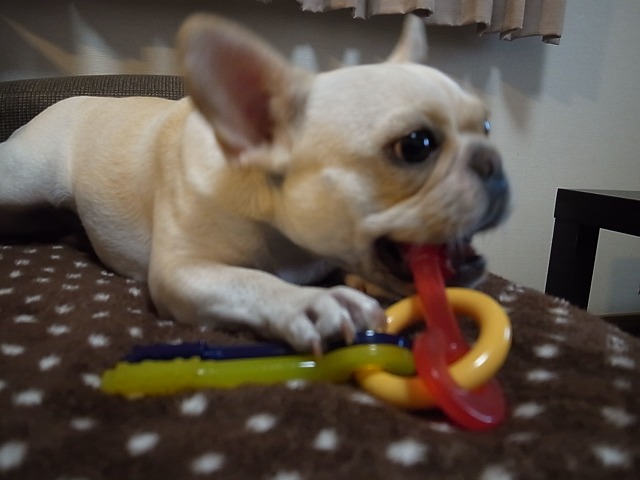 c0081363_22111110.jpg