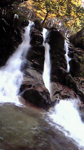 f0036263_1511941.jpg