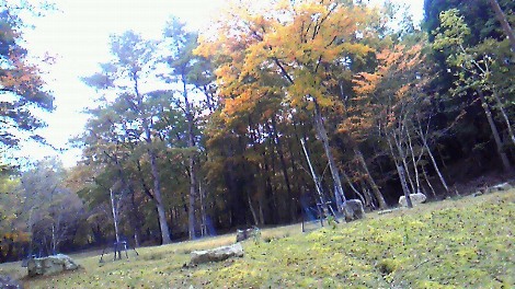 f0036263_1522194.jpg