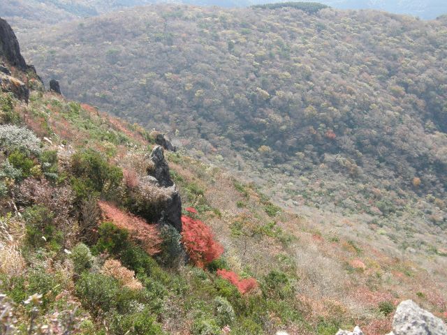 c0042869_53578.jpg