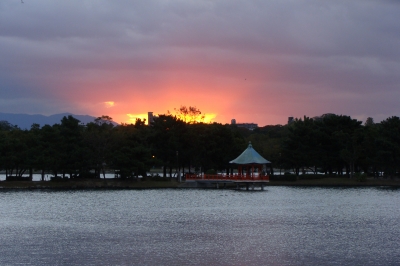 d0182075_483641.jpg