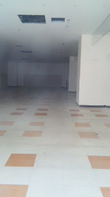 廃屋ロマンス_e0188079_103290.jpg