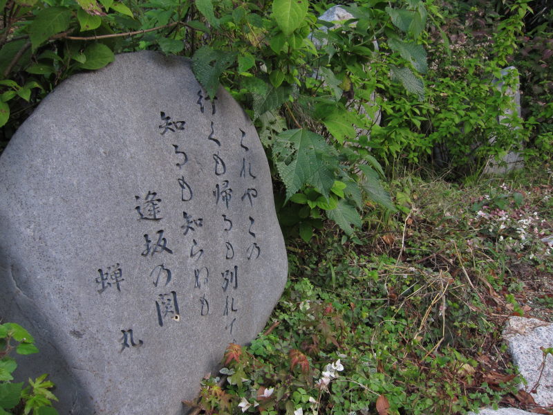 やってみた、ブロンプトンでナイトラン！・Road to 貴生川－東海道57次ポタ①_e0138081_1858044.jpg