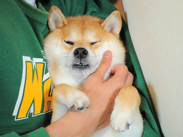 2匹一緒に・・・_a0126590_5213695.jpg