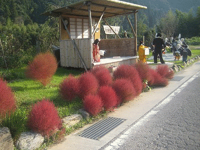 c0078592_23423290.gif