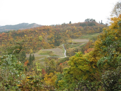 f0117892_16512679.jpg