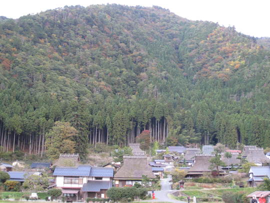 f0010195_0162168.jpg