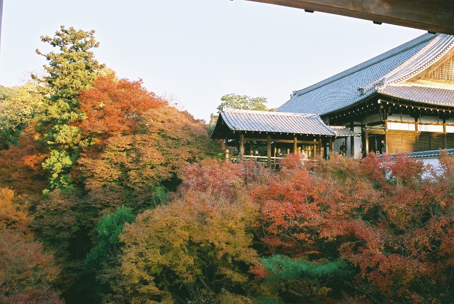 京都の秋_a0158797_019362.jpg