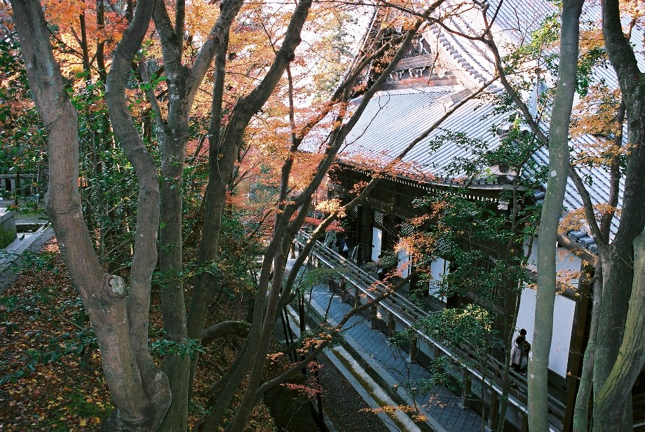 京都の秋_a0158797_0195370.jpg