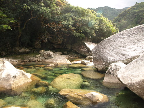 屋久島　3日目_b0206598_054393.jpg