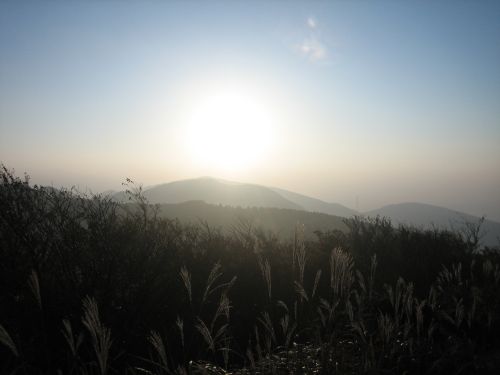 f0036700_14303158.jpg