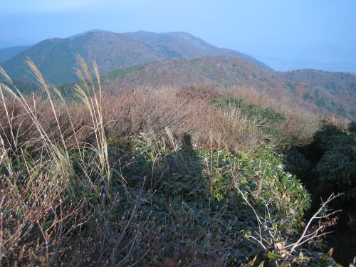f0036700_14305656.jpg