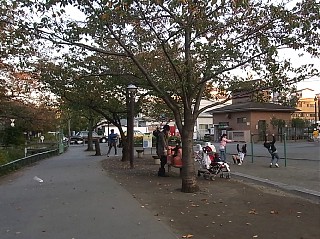 2010年11月11日（木） ； 晴れ_d0051601_059381.jpg