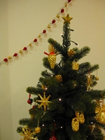d0076603_6164121.jpg