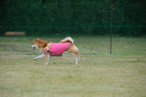 e0131506_2232213.jpg