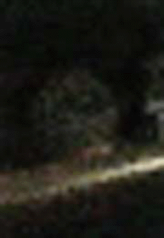 e0103408_17552211.gif