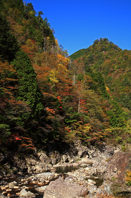 みたらい渓谷の紅葉(2010)_f0181310_19483398.jpg