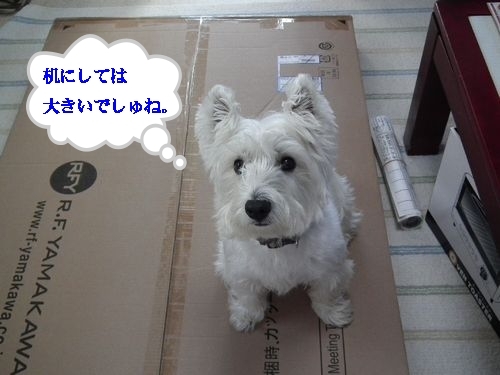 PCテーブル・・・勘違い( ´∀` )_a0161111_17373452.jpg