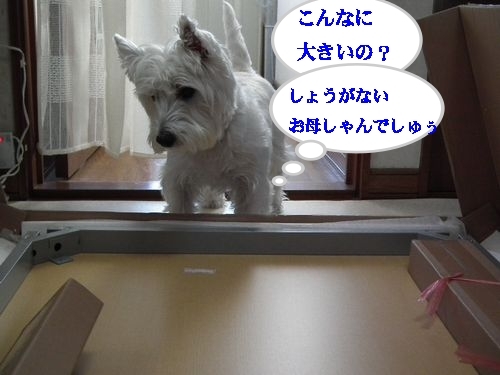 PCテーブル・・・勘違い( ´∀` )_a0161111_17414174.jpg