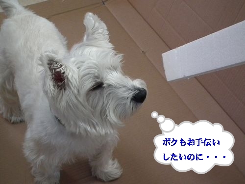 PCテーブル・・・勘違い( ´∀` )_a0161111_17452822.jpg