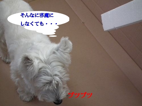 PCテーブル・・・勘違い( ´∀` )_a0161111_1747493.jpg