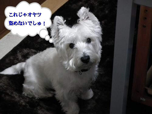 PCテーブル・・・勘違い( ´∀` )_a0161111_1753625.jpg