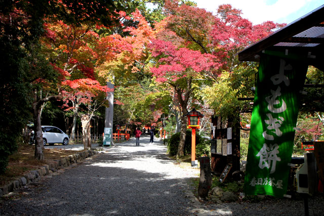 紅葉スタート 大原野神社_e0048413_22485978.jpg