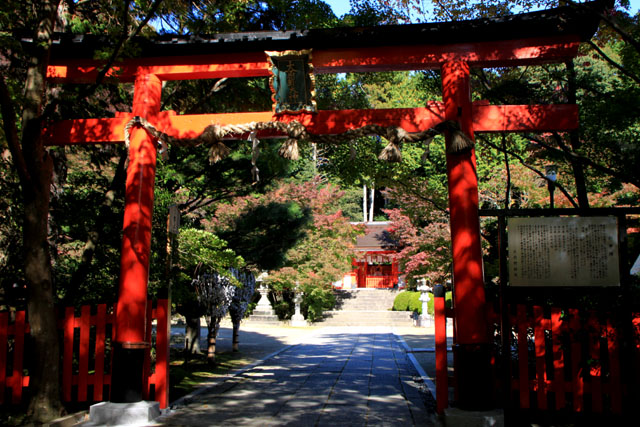 紅葉スタート 大原野神社_e0048413_22492697.jpg