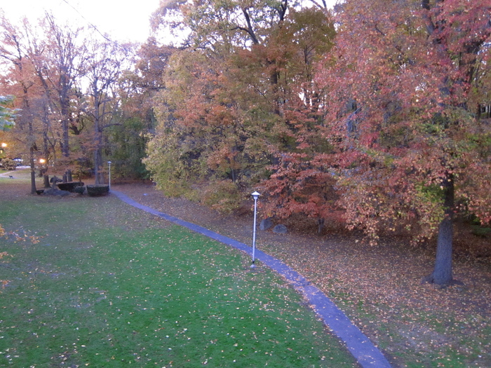 c0120817_12123421.jpg