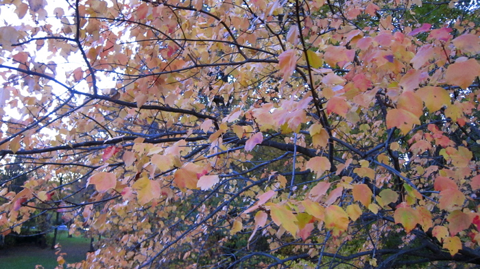 c0120817_121388.jpg
