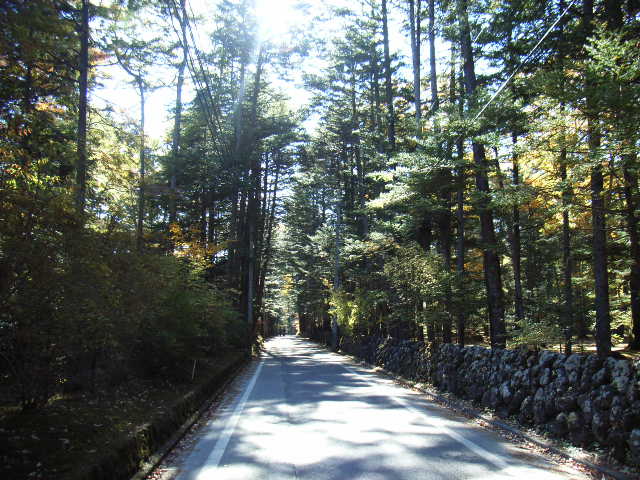 e0177824_2247432.jpg