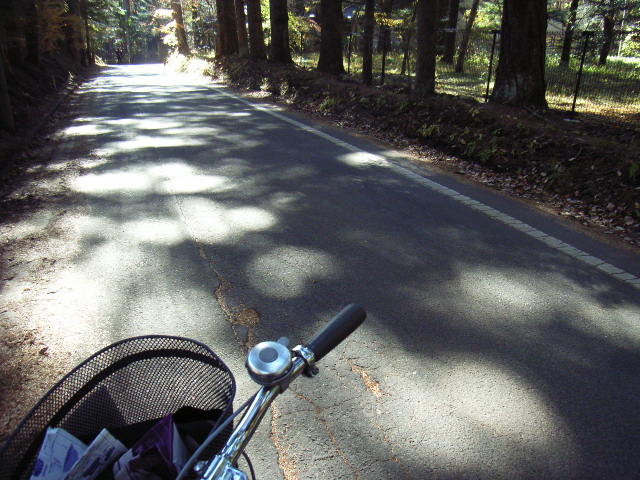 e0177824_22494061.jpg